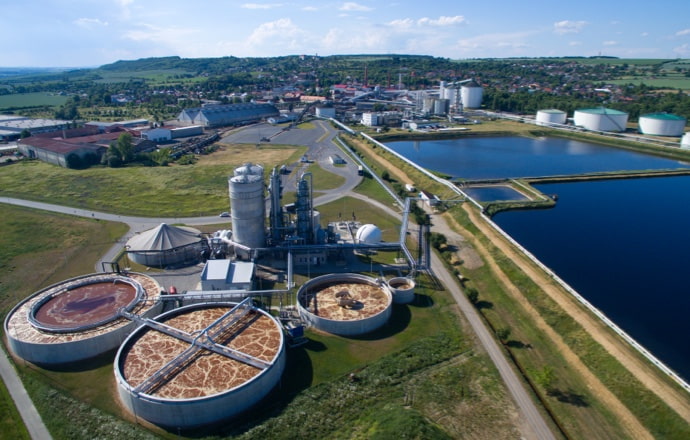 Sugar beet in full force