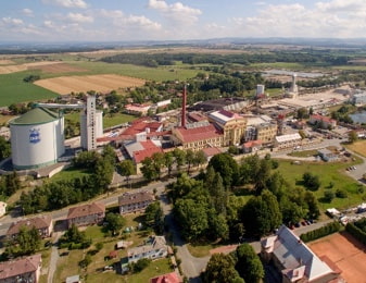Dvůr
