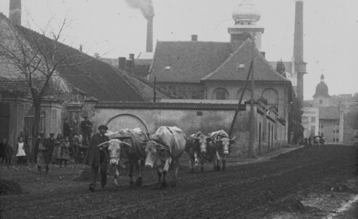Historie Dobrovice
