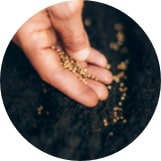 Fertilizer